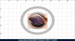 FX0091 Eyelid Designs - Zebra